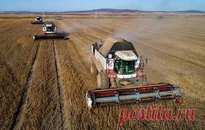 "Русагро" изучает вопрос о перерегистрации в России. Финансовый директор холдинга Александр Тарасов сообщил, что называть конкретные сроки преждевременно