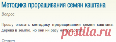 Методика проращивания семян каштана