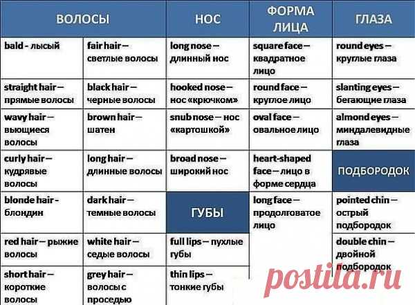 Внешность человека (лицо).