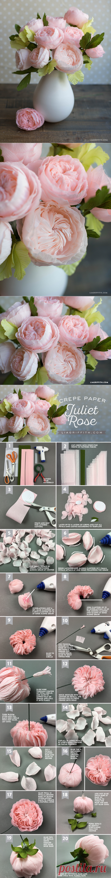 Crepe Paper Juliet Roses - Lia Griffith