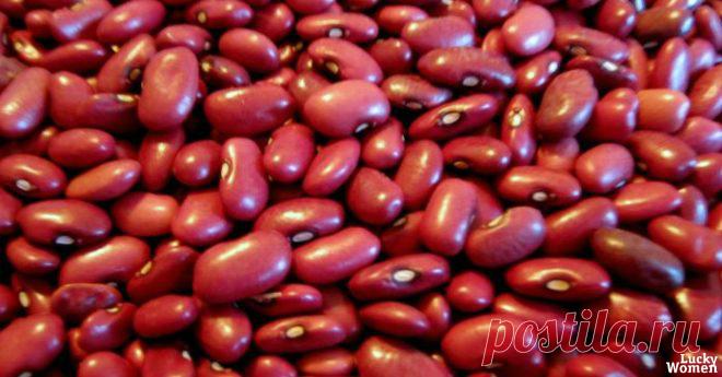 Диабет боится этого средства, как огня! Это лечит даже подагру, достаточно взять 1… Фасоль обыкновенная лечит поджелудочную железу, диабет, ревматоидный артрит, почки и многое другое!  Фасоль — это однолетнее овощное травянистое растение с вьющимся или прямым стеблем, семейства бобовых.    Листья пепарноперистые. Цветки 1-1,5 см длины, белые или фиолетовые, плод — боб.    Семена