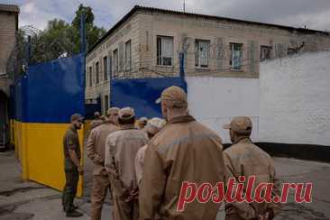 Украинец отправился в тюрьму на несколько лет за сломанный военкому нос