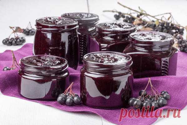 Черноплодная рябина: полезные свойства, секреты сбора и способы заготовки