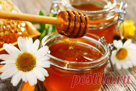 Определён самый популярный продукт для здоровья печени | Polza-vred.su