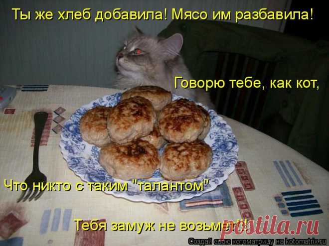 Котоматрица: Круть
