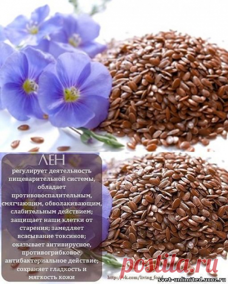 Семя льна очищает кровеносные сосуды.