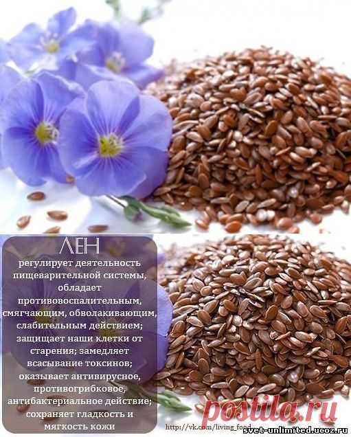 Семя льна очищает кровеносные сосуды.