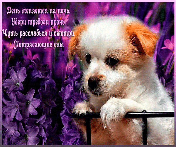 (15) Мой Мир@Mail.Ru