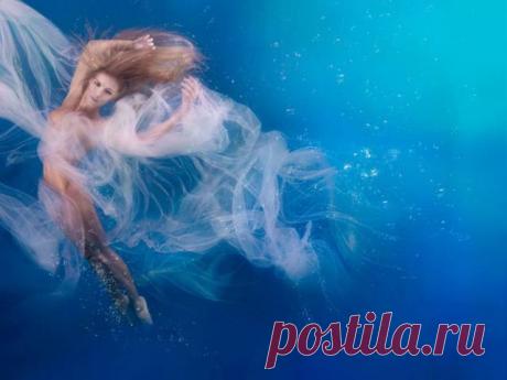 Фотохудожники: Подводная нереальность - Фотохудожники - ФОТОЛАБОРАТОРИЯ - Каталог статей - ЛИНИИ ЖИЗНИ