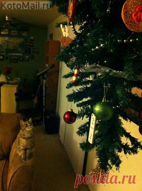 Должен ведь быть какой-то способ достать её?