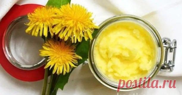Полезная мазь на основе порошка корней одуванчика