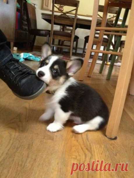 Мое!