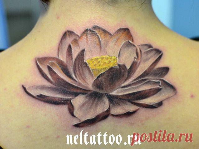 тату лотос - 2 355 картинок. Поиск Mail.Ru