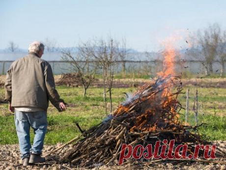 Почему весной принято сжигать хлам и выбрасывать мусор Весна — время перемен и возрождения природы, и с этим временем года связано множество поверий и ритуалов. Одним из главных считается избавление от грязи и хлама, которые не просто засоряет помещения, но и мешает привлечению в жизнь позитивных перемен.