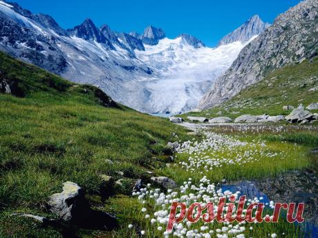 Горная красота