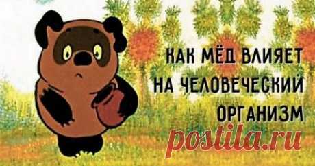 9 уникальных свойств мёда, о которых знают единицы. Невероятный продукт!