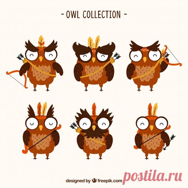 Коллекция коричневой совы Более миллиона свободных векторов, PSD, фотографии и бесплатные иконки. Эксклюзивные халявы и все графические ресурсы, которые необходимые для ваших проектов