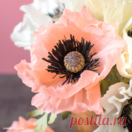 Crepe Paper Poppies (Video Tutorial)