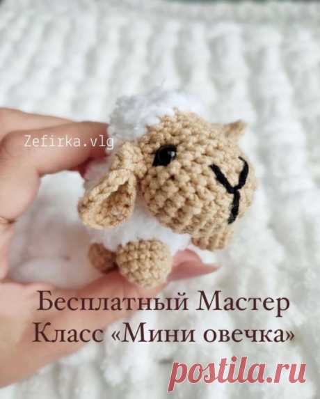 Мини овечка