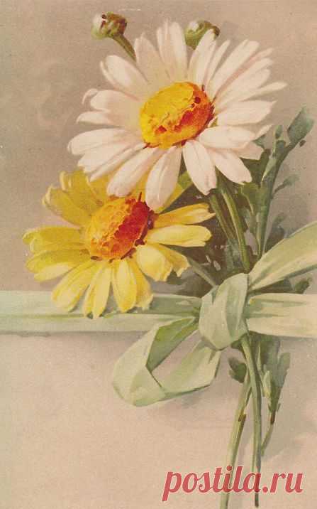 (723) Catherine Klein | Flowers