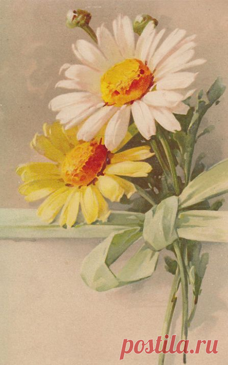 (723) Catherine Klein | Flowers