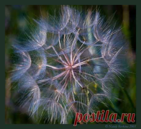 Лунное мерцание