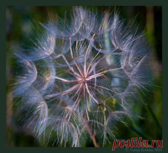 Лунное мерцание