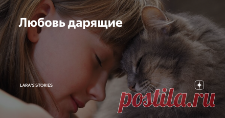 Любовь дарящие Статья автора «Lara's  Stories» в Дзене ✍: - Смотри, какой страшный! – Света поманила Сашу к окну. – Сидит и смотрит! Саша потянулась и поискала ногой под столом туфельку.