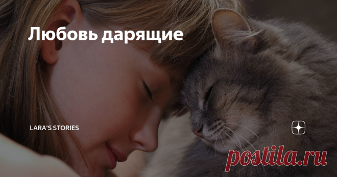 Любовь дарящие Статья автора «Lara's  Stories» в Дзене ✍: - Смотри, какой страшный! – Света поманила Сашу к окну. – Сидит и смотрит! Саша потянулась и поискала ногой под столом туфельку.