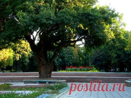 Сергей Кожевников
60 лет, Россия, г.Ликино-Дулево