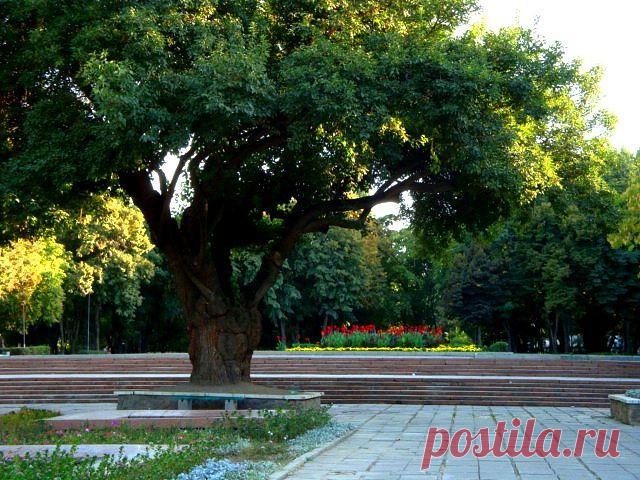 Сергей Кожевников
60 лет, Россия, г.Ликино-Дулево