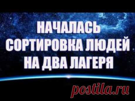 (910) Pinterest