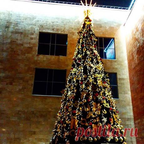 Как правильно платить за свет: matilda_i_ja