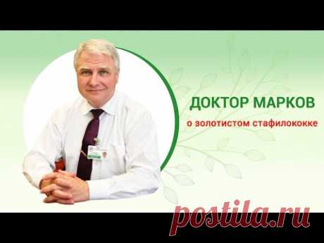 Золотистый стафилококк. Симптомы, причины и лечение. Стафилококк у детей. Доктор Игорь Марков