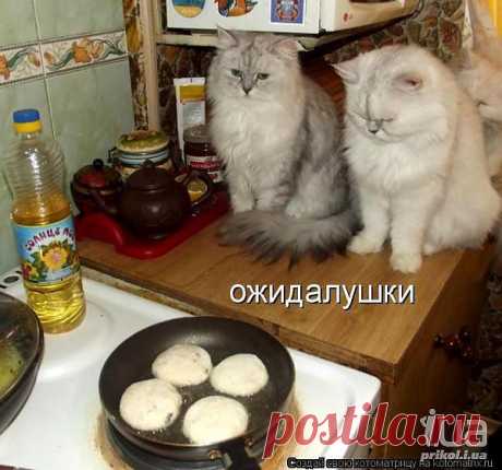 (+1) тема - На вид - оладьи, на вкус - беляши! | Любимые рецепты