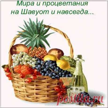 Праздник Торы, слово Божье
Нам приносит Шавуот,
С этим днем хочу поздравить
Весь еврейский я народ.