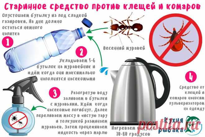 Старинное средство против клещей и комаров | Кухня рыбака | Яндекс Дзен