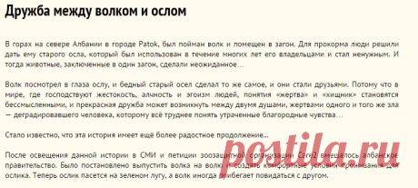 Дружба между волком и ослом
