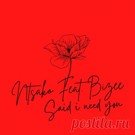 Ntsako - Said I Need You (feat. Bizee) [Black People Records]