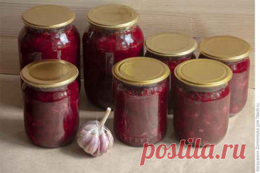 Борщевая заправка на зиму — Домашняя кулинария