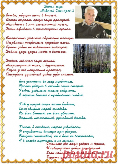 ДИКАЯ ЧАЩА ~ Открытка (плейкаст)