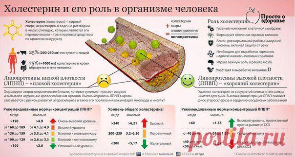 СНИЖЕНИЕ ХОЛЕСТЕРИНА НАРОДНЫМИ СРЕДСТВАМИ