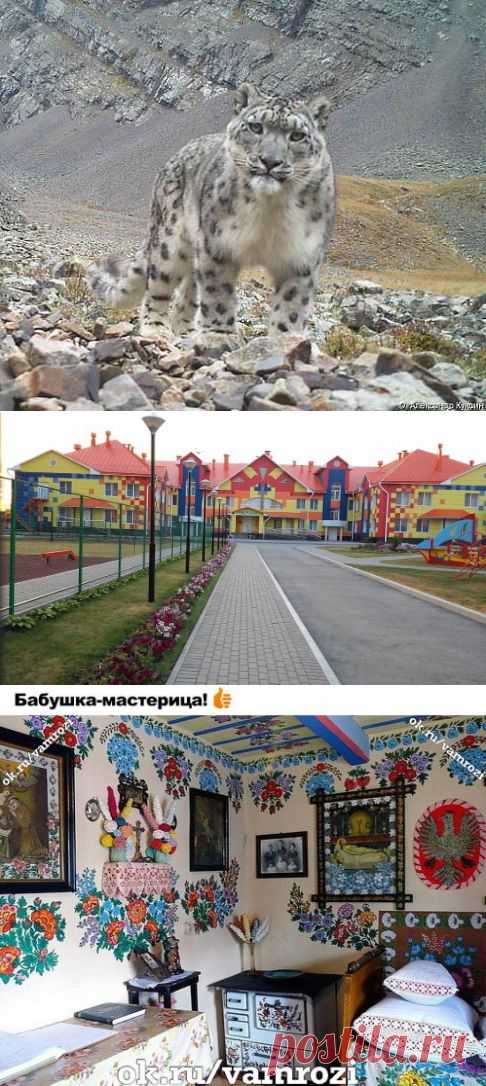 (39) Одноклассники