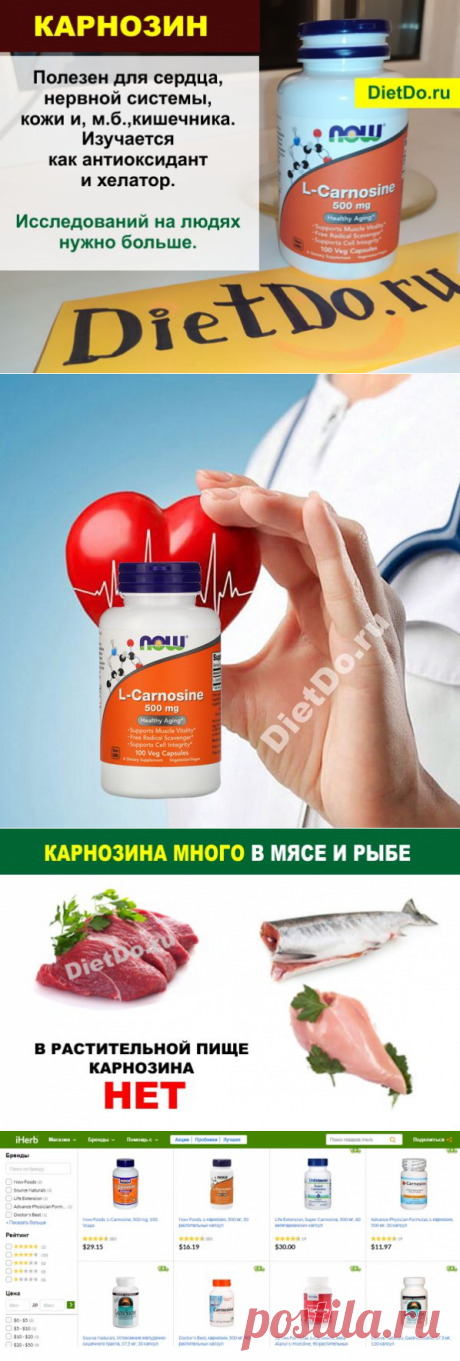 Карнозин — инструкция по применению, цена, отзывы и аналоги таблеток. Честные обзоры добавок для здоровья на DietDo.ru!