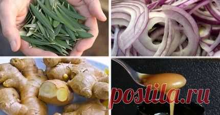 10 природных антибиотиков: факты, которые тщательно скрывают фармацевтические компании - Мастерская жизни "Растимул"