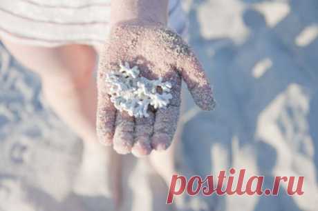 Целебные свойства белого коралла. | Советы Народной Мудрости