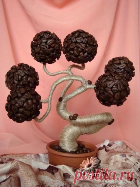 Кофейный баобаб. Мастер-класс.