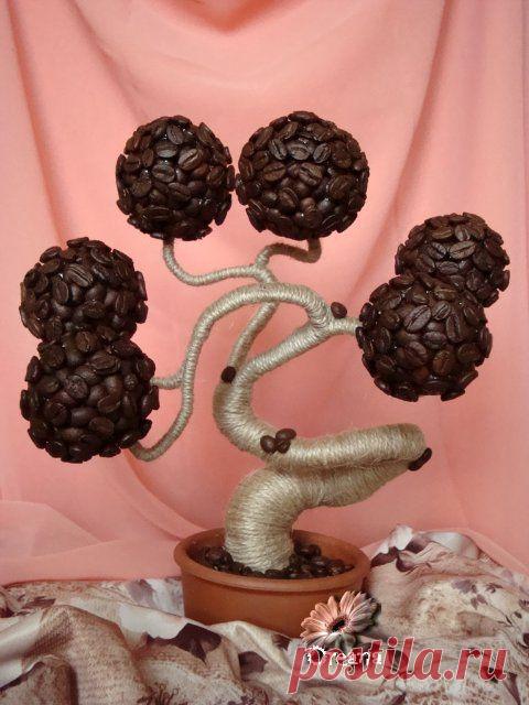 Кофейный баобаб. Мастер-класс.