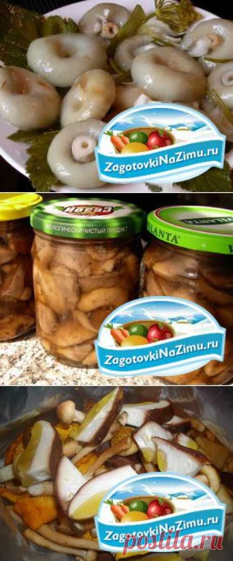 способы засолки грибов, засолка белых грибов, горячая засолка грибов
