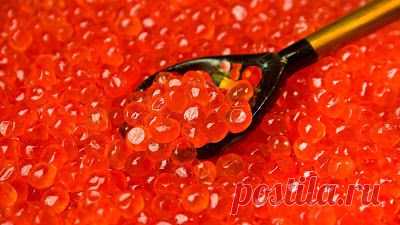 Червона ікра відноситься до делікатесів, який такий улюблений в нашій країні. Це ікра лососевих риб - горбуші, кети, нерки, форелі, сіми. Видобуватися вона стала не так давно, на початку 20 століття, і швидко завоювала ринок. Спочатку вона не вживалася в їжу людьми. Її використовували як корм худобі. В даний час без цього продукту не обходиться практично жодне свято.